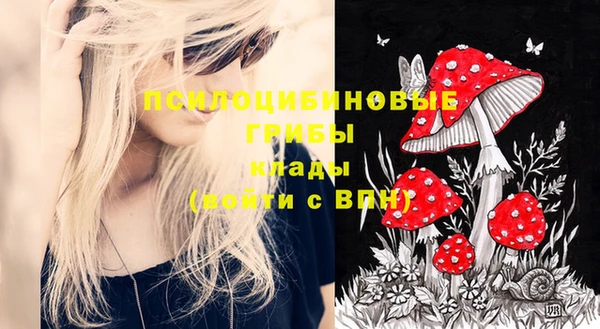mix Верея