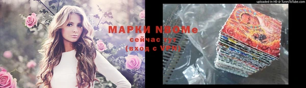 гидра Богданович