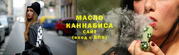 гидра Богданович
