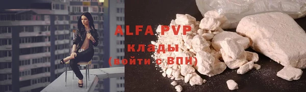 амф Богородицк